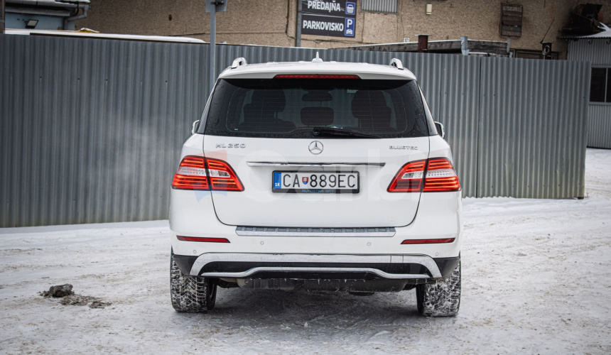 Mercedes Benz 250 BLUETEC 4MATIC, ILS, Navi, Bez vzduchu