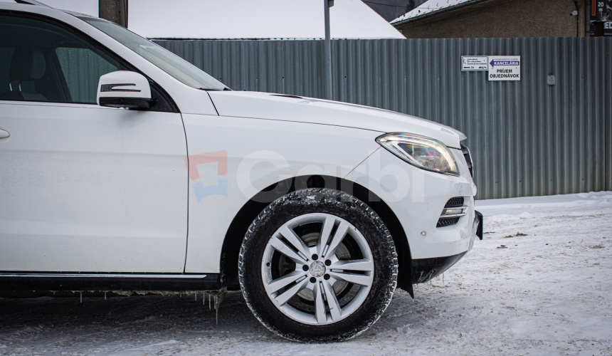 Mercedes Benz 250 BLUETEC 4MATIC, ILS, Navi, Bez vzduchu