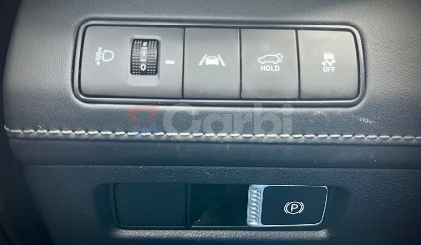 Hyundai Santa Fe Premium 2.2 CRDi 142 kW 4x4